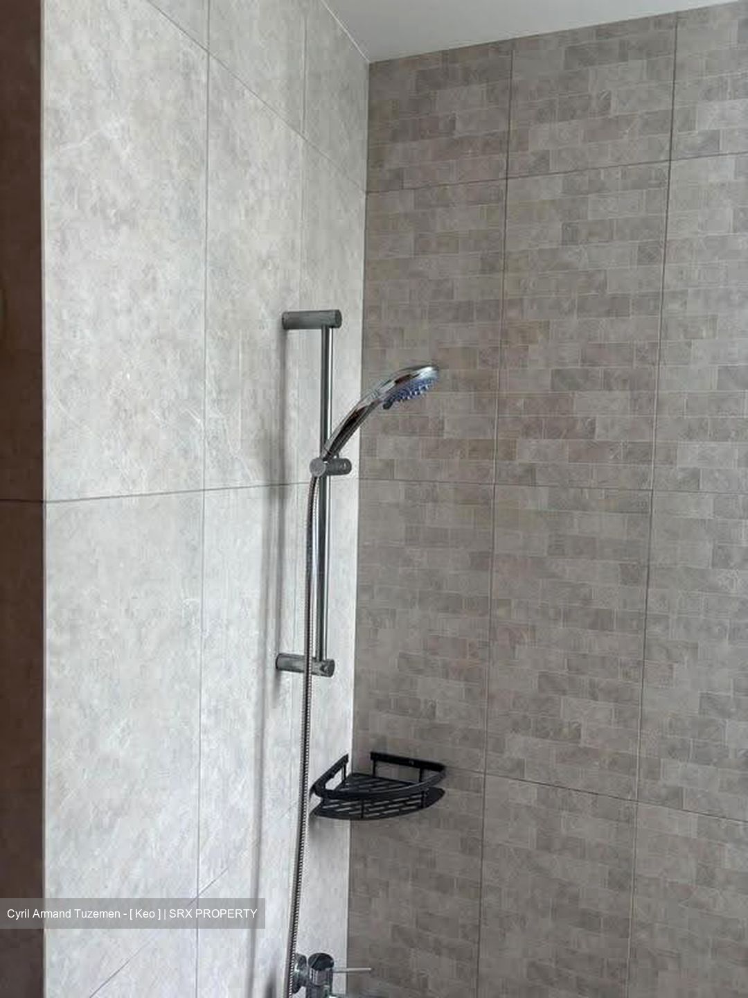 The Lakeshore (D22), Condominium #638496891